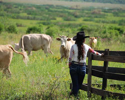 cattlewoman-association-thumbnail