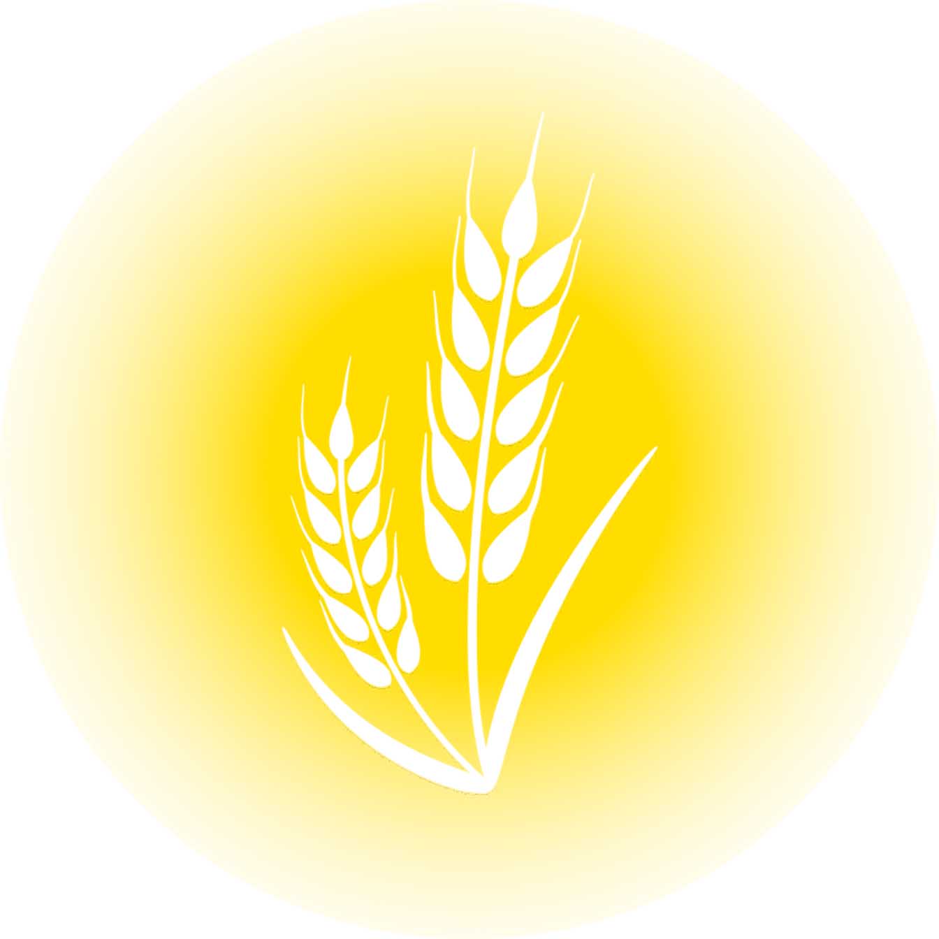 Crop Insurance icon